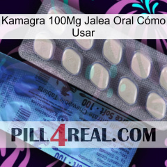 Kamagra 100Mg Jalea Oral Cómo Usar 34